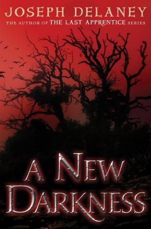 Cover of the book A New Darkness by Diana Wynne Jones