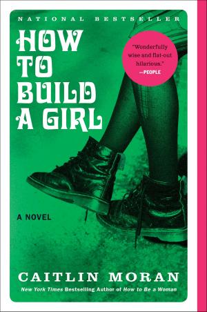 Cover of the book How to Build a Girl by Robin Burcell