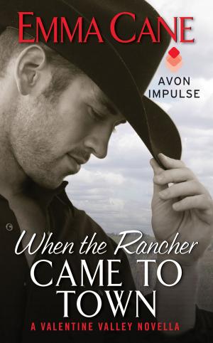Cover of the book When the Rancher Came to Town by Darlene Panzera