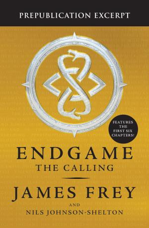 Cover of the book Endgame Sampler by Tim Slee