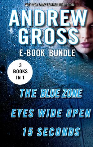 Cover of the book The Andrew Gross Thriller by P. S. Brown