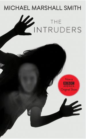 Cover of the book The Intruders by Barbara Michaels