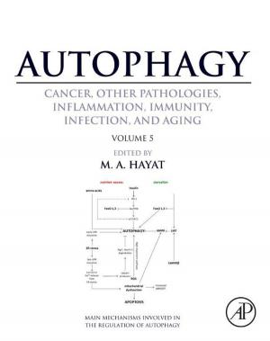 Cover of the book Autophagy: Cancer, Other Pathologies, Inflammation, Immunity, Infection, and Aging by Daniel A. Vallero