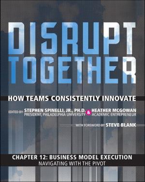 Book cover of Business Model Execution - Navigating with the Pivot (Chapter 12 from Disrupt Together)