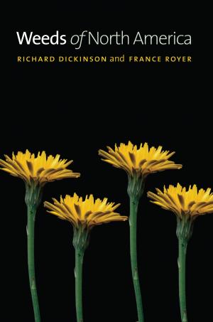 Cover of the book Weeds of North America by Sara Paretsky, Sara Paretsky, Amanda Porterfield