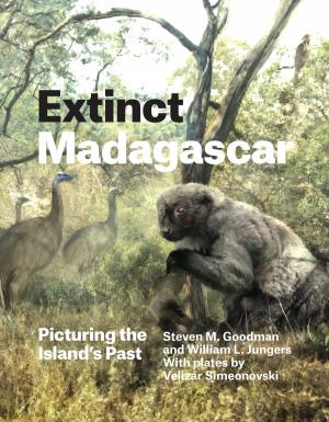 Book cover of Extinct Madagascar