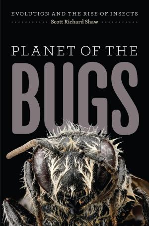 Cover of the book Planet of the Bugs by Charles E. Rosenberg