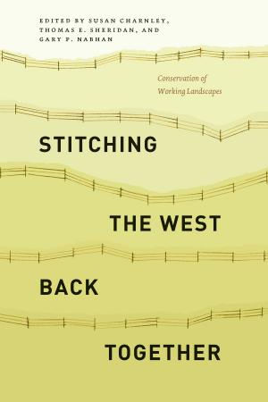 Cover of the book Stitching the West Back Together by Bruce Elliott, Machar Reid, Miguel Crespo