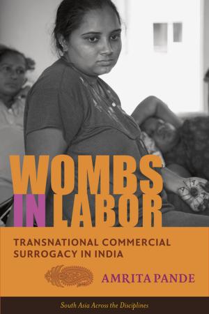 Book cover of Wombs in Labor