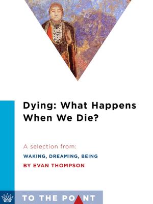 Book cover of Dying: What Happens When We Die?