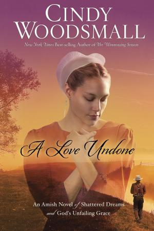 Cover of the book A Love Undone by Jenny Holmlund