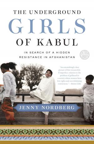 Cover of the book The Underground Girls of Kabul by Shela Dingo