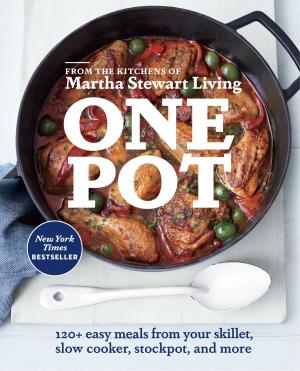 Cover of the book One Pot by Gina Homolka, Heather K. Jones