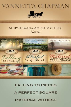 Cover of the book The Shipshewana Amish Mystery Collection by Gary Smalley