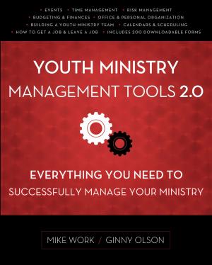 Book cover of Youth Ministry Management Tools 2.0