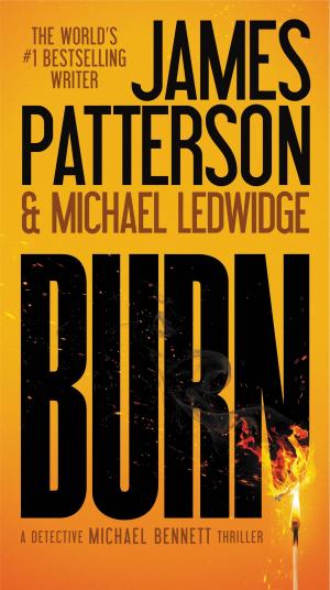Cover of the book Burn by Graham E. Fuller