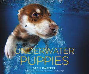 Cover of the book Underwater Puppies by James Patterson, David Ellis