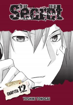 Book cover of Secret, Chapter 12