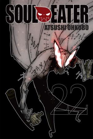 Cover of the book Soul Eater, Vol. 22 by Satsuki Yoshino