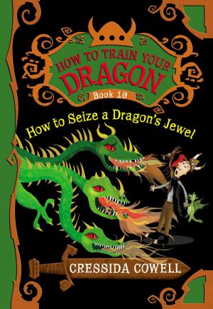 Cover of the book How to Train Your Dragon: How to Seize a Dragon's Jewel by Daniel Beaty, Bryan Collier