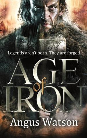 Book cover of Age of Iron