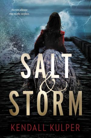 Cover of the book Salt &amp; Storm by G. M. Berrow