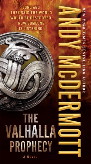 bigCover of the book The Valhalla Prophecy by 