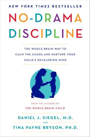Book cover of No-Drama Discipline