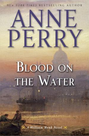 Cover of the book Blood on the Water by Peter Abrahams