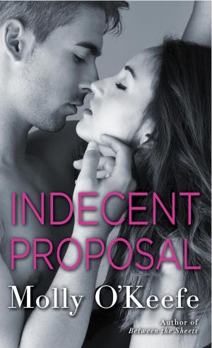 Cover of the book Indecent Proposal by Sue Margolis