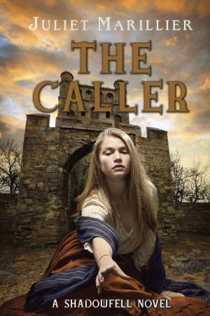 Cover of the book The Caller by Marilyn Kaye