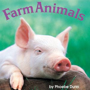 Cover of the book Farm Animals by Kim Ablon Whitney