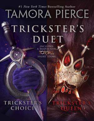 Cover of the book Trickster's Duet by Carrie Ryan