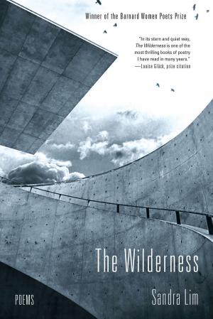 bigCover of the book The Wilderness: Poems by 