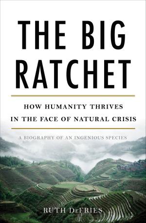 Book cover of The Big Ratchet