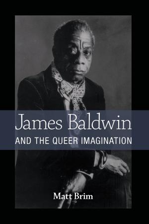 Cover of the book James Baldwin and the Queer Imagination by Gerald Andrew McDermott
