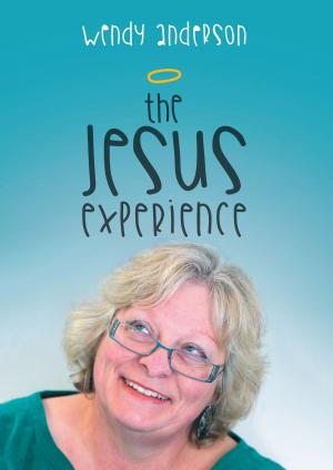 Book cover of The Jesus Experience