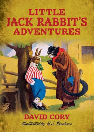Cover of the book Little Jack Rabbit's Adventures by Charles A. Eastman