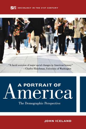 Cover of the book A Portrait of America by Mark Padoongpatt