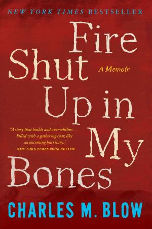 Cover of the book Fire Shut Up in My Bones by Chris Van Allsburg
