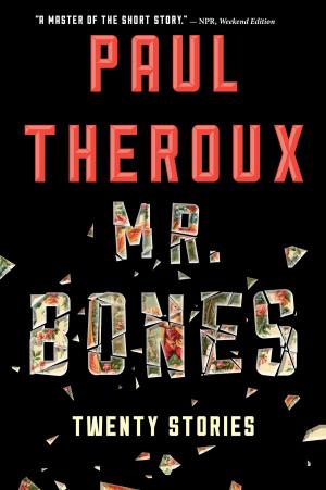 Book cover of Mr. Bones