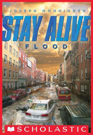 Book cover of Stay Alive #4: Flood