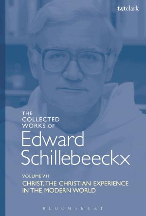 Book cover of The Collected Works of Edward Schillebeeckx Volume 7