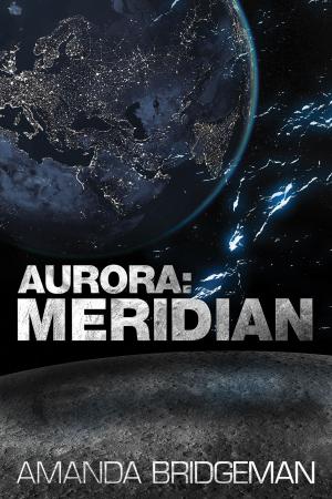 Book cover of Aurora: Meridian (Aurora 3)