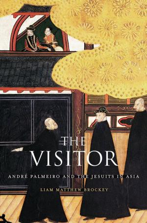Cover of the book The Visitor by Jeremi Suri
