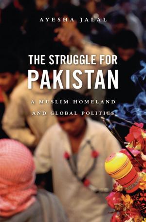Cover of the book The Struggle for Pakistan by Clark Kerr