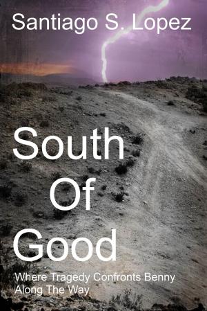 Book cover of South of Good: A true story of man against society