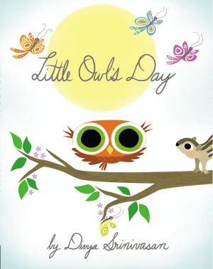 bigCover of the book Little Owl's Day by 