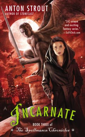 Cover of the book Incarnate by Linda Grant