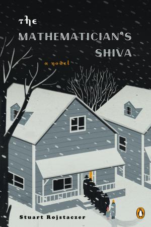 Cover of the book The Mathematician's Shiva by Alex Dahl
